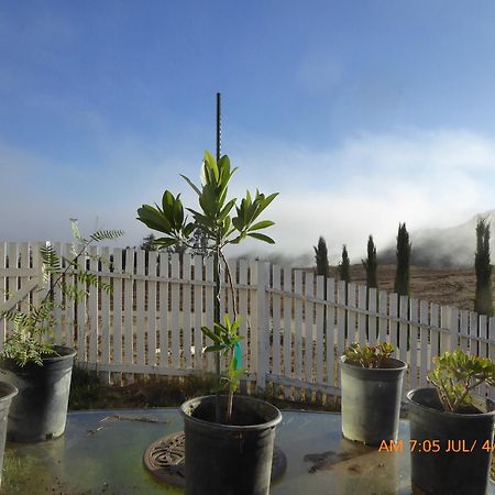 Mansion On The Hill Let 4 Rooms, 5Th Cost Extra Sage Eksteriør bilde